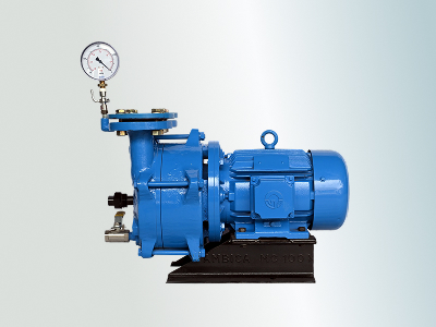 Monoblock Liquid Ring Vacuum Pump (MV Series)